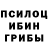 Галлюциногенные грибы MAGIC MUSHROOMS Vocem Veritatis