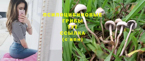 тгк Балахна